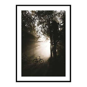 Gallerix Poster Bike In Forest 3874-30x40