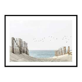 Gallerix Poster Birds At Cape Cod 4212-21x30G