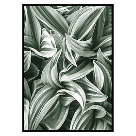 Gallerix Poster Bright Green Botanical No2 2625-21x30G