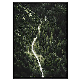 Gallerix Poster Coniferous Forest 3523-30x40