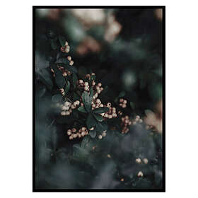 Gallerix Poster Forest Vegetation 2862-50x70