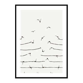 Gallerix Poster Freedom Concept 4000-21x30G