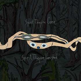 Animal Collective Spirit They're Gone, They've Vanished CD