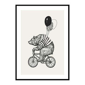 Gallerix Poster Bear On Bicycle 4172-50x70