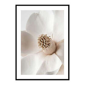 Gallerix Poster Beige Magnolia No2 4041-70x100