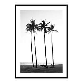 Gallerix Poster Palms On Beach 3775-21x30