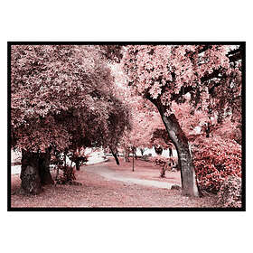Gallerix Poster Pink Trees No1 3535-21x30G