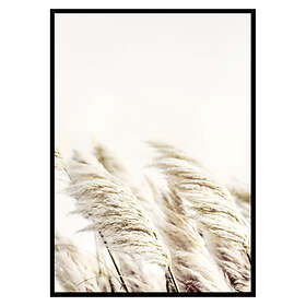 Gallerix Poster Reed In Wind 2800-30x40