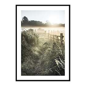 Gallerix Poster Sunrise Over Countryside 4304-30x40