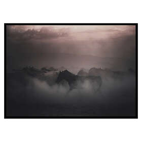 Gallerix Poster Sunset Horses 2952-70x100