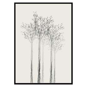 Gallerix Poster Sketched Trees 3073-50x70