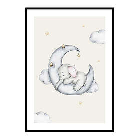 Gallerix Poster Sleeping Elephant 4146-30x40