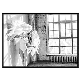Gallerix Poster White Wings No2 2731-21x30