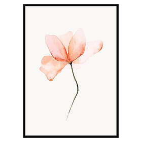 Gallerix Poster Watercolor Flower 2616-70x100