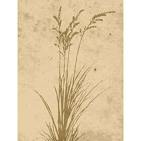 Venture Home Posters Plant Art Beige Poster - art 30x40 60069-002