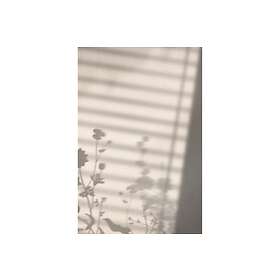 Venture Home Posters Flower Shadow Vit Poster - shadow White 50x70 60048-003