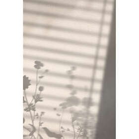 Venture Home Posters Flower Shadow Vit Poster - shadow White 21x30 60048-001