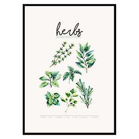 Gallerix Poster Herbs 3215-50x70