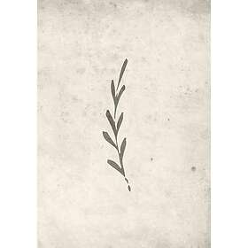 Venture Home Posters Autumn Leaf Beige Poster - leaf 30x40 60051-002