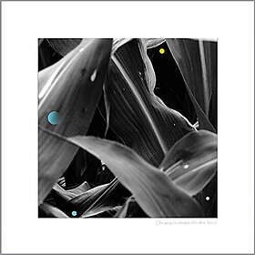 King Arthur: Changing Landscapes LP
