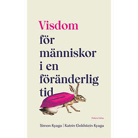 Visdom : För människor i en föränderlig tid