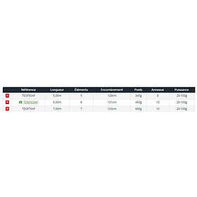 Daiwa Team Strong Float Telescopic Surfcasting Rod Silver 7,00 m / 20-100g