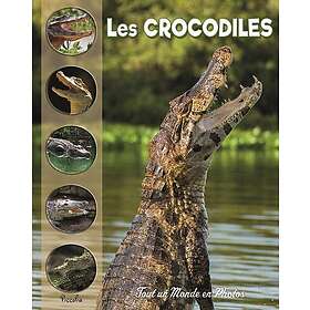 Les crocodiles