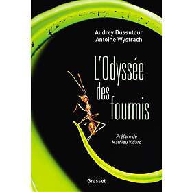 L'Odyssée des fourmis: Préface de Mathieu Vidard