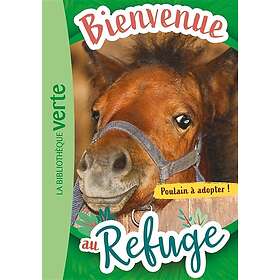 Bienvenue au refuge 03 Poulain à adopter