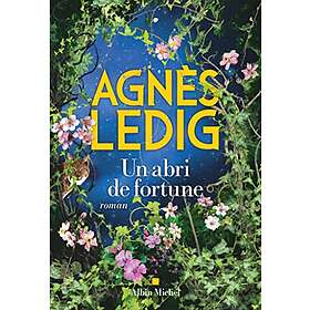 Un abri de fortune: Roman