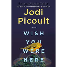 Wish You Were Here: A Novel