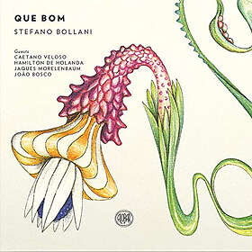 Bollani Stefano: Que Bom