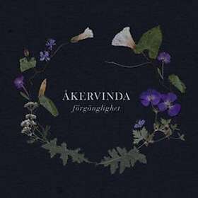 Åkervinda: Förgänglighet