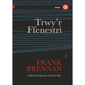 Cyfres Amdani: Trwy'r Ffenestri