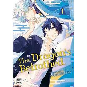 The Dragon's Betrothed, Vol. 1