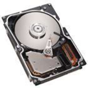 IBM 40K1052 73GB
