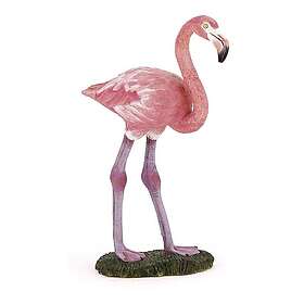 Coloring Book Flamingo : for Flamingo Lovers. Flamingo for Kids