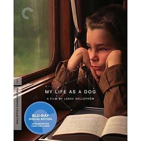 My Life as a Dog - Criterion Collection (US) (Blu-ray)