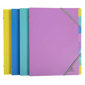 Exacompta 56190E Trieur PP 8 compartiments Forever Young