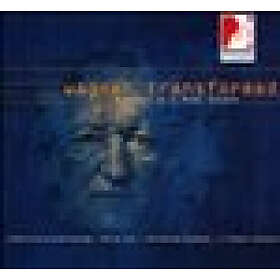 Schwalm Peter: Beauty Of Disaster