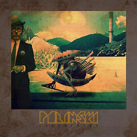 Polinski: Labyrinths