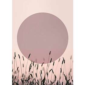 Sundown Malerifabrikken Poster 1 Lilla 50X70 Unisex