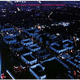 Collette Ned & Wirewalker: Networking In Purg...