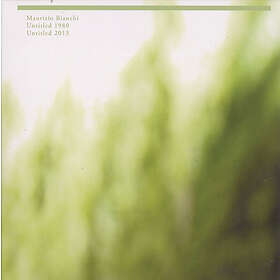 Bianchi Maurizio: Untitled 1980/Untitled 2013