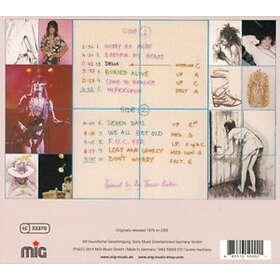 Wood Ronnie: Gimmie Some Neck (Rem) CD