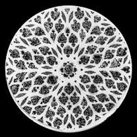 Christmas Island/Meth Teeth: Split