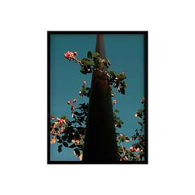 Gallery Democratic Poster Blomster Blå 45X60 Multicolor unisex