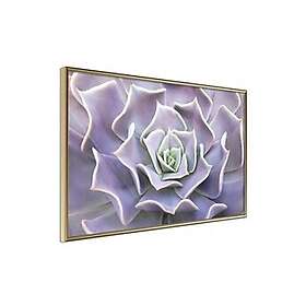 Flower Inramad Poster / Tavla Like a