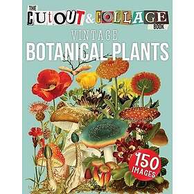 For The Cut Out And Collage Book Vintage Botanical Plants: 150 High Quality Vint