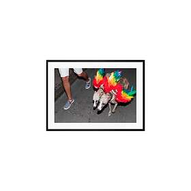 Gallery Democratic Poster Regnbuehunder Rød 35X50 Multicolor unisex